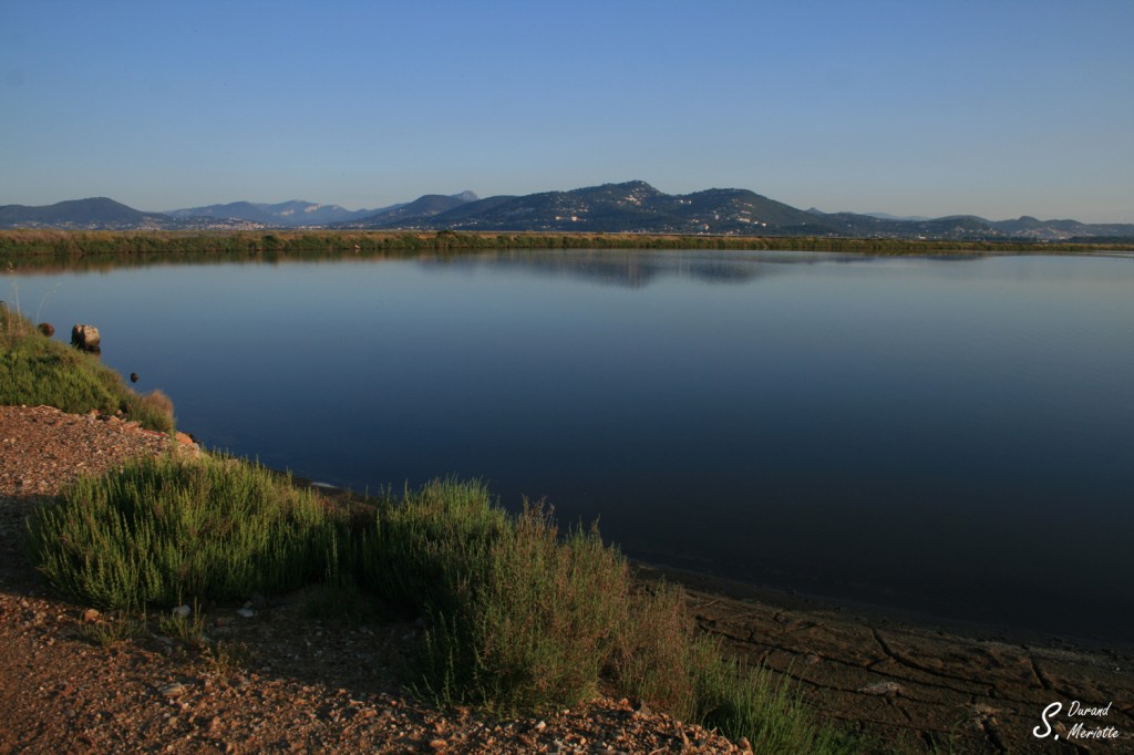 Salin des Pesquiers