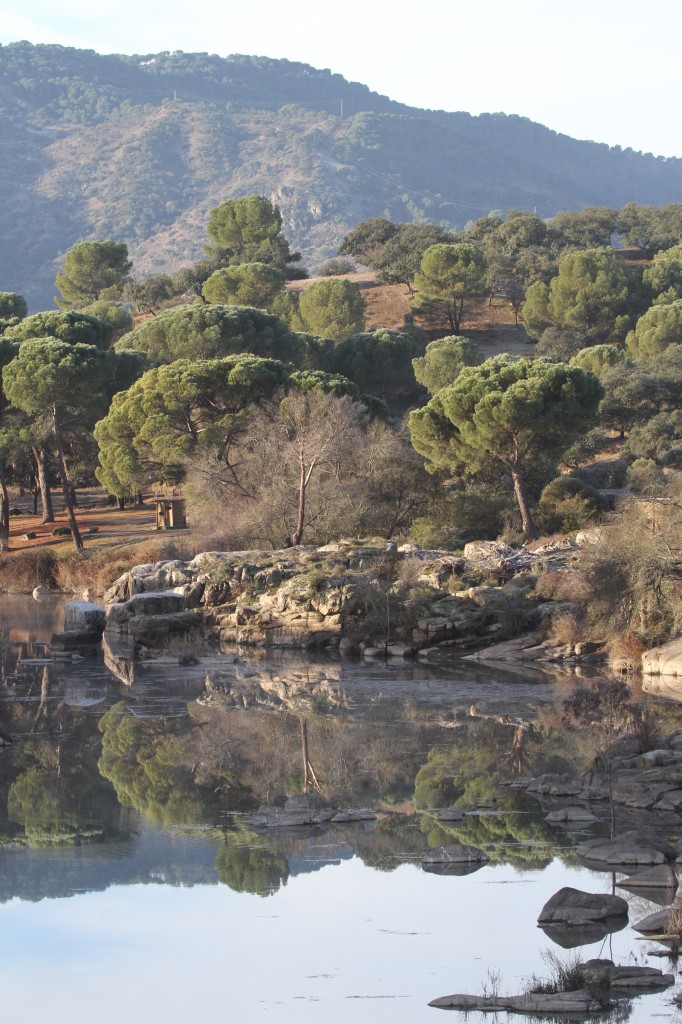 Rio Jandula