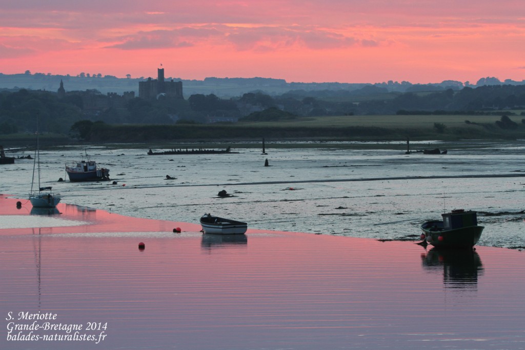 Amble - 11/07/2014