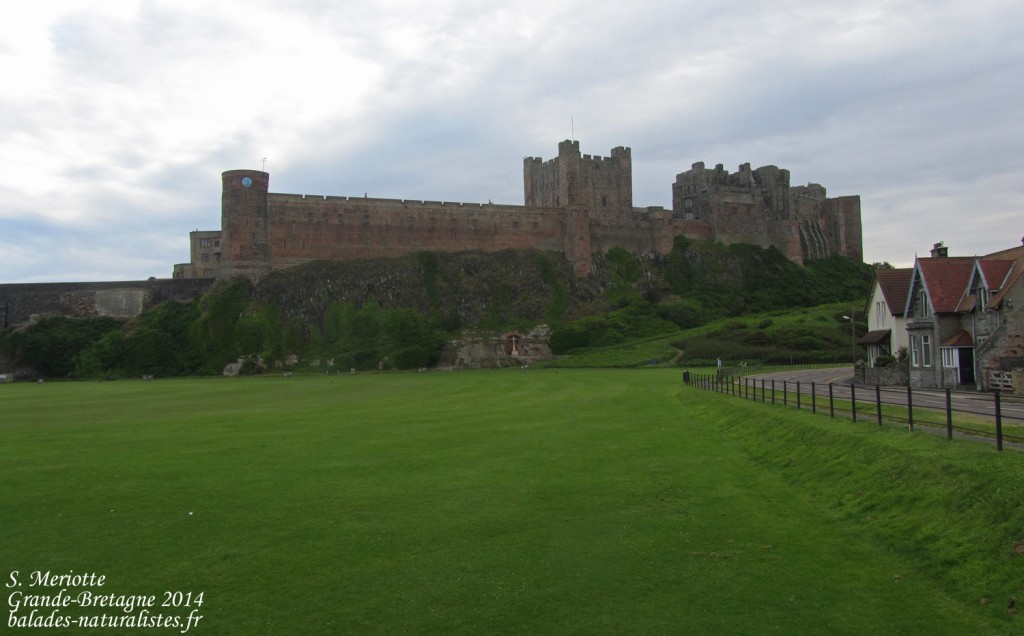 Bamburgh - 11/07/2014