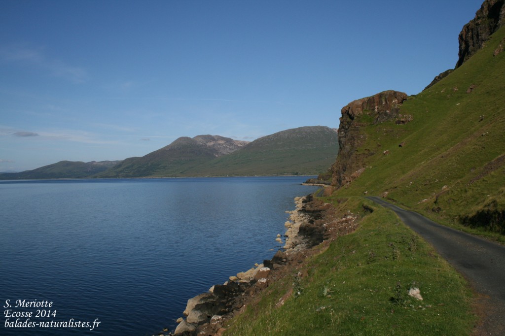 Mull