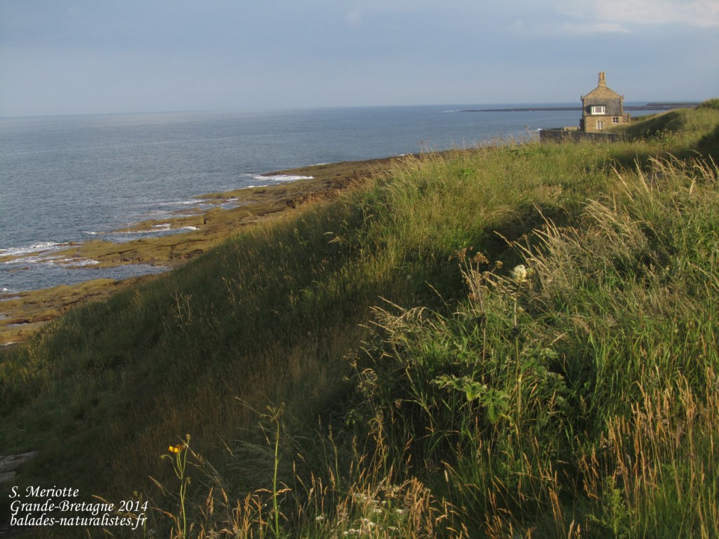 Northumberland - 11/07/2014
