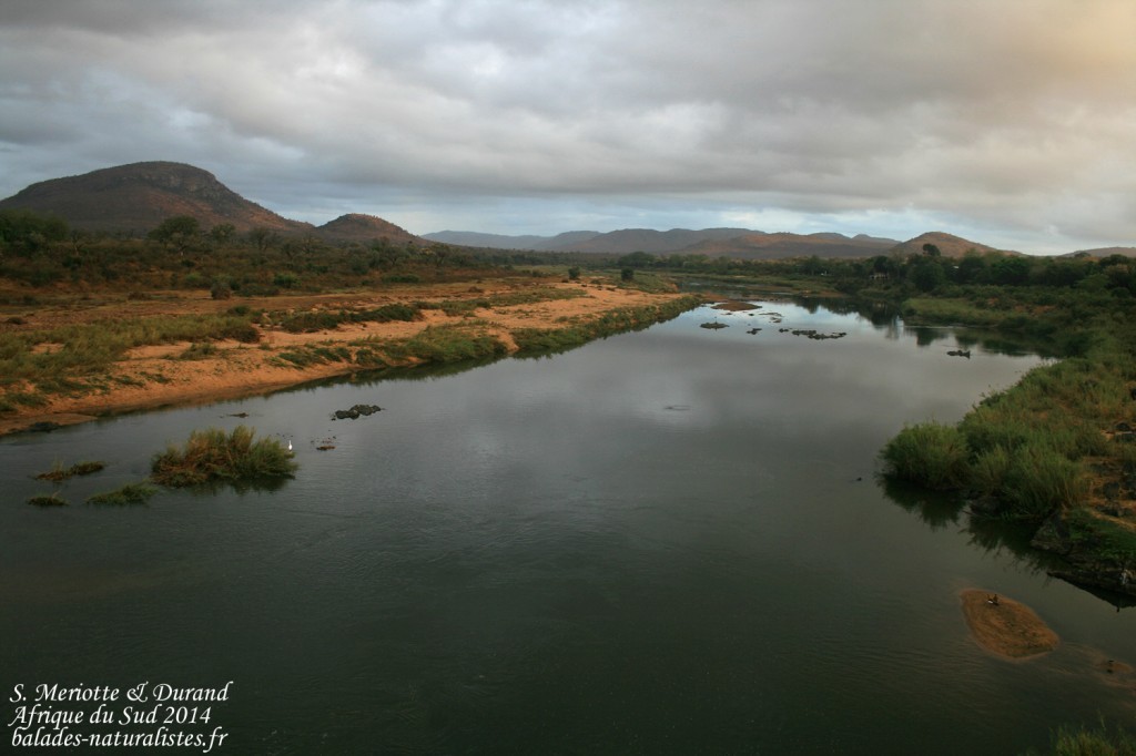 Afrique du Sud juillet-août 2014 Afrique du Sud juillet-août 2014