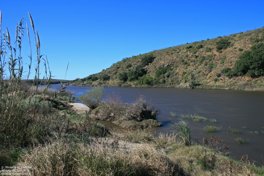 Bontebok national park