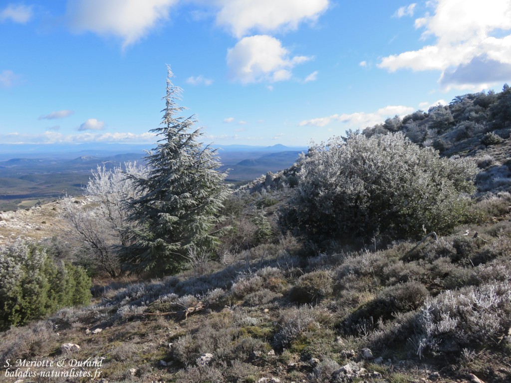 Montagne Sainte-Victoire, Versant Nord