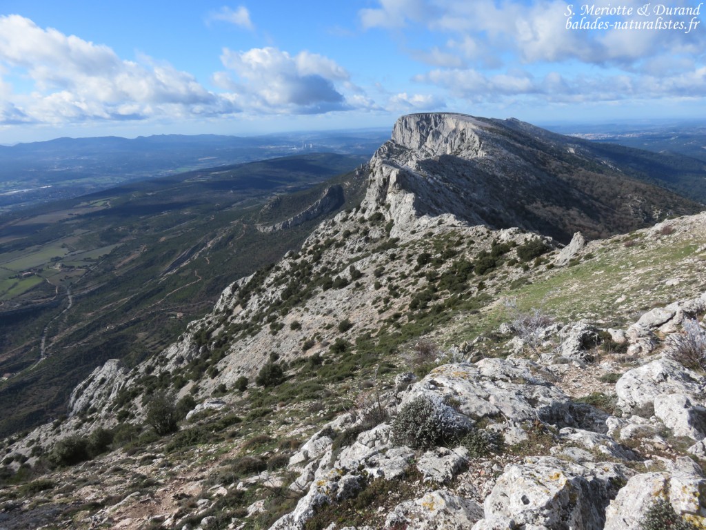 Montagne Sainte-Victoire, Pic des Mouches
