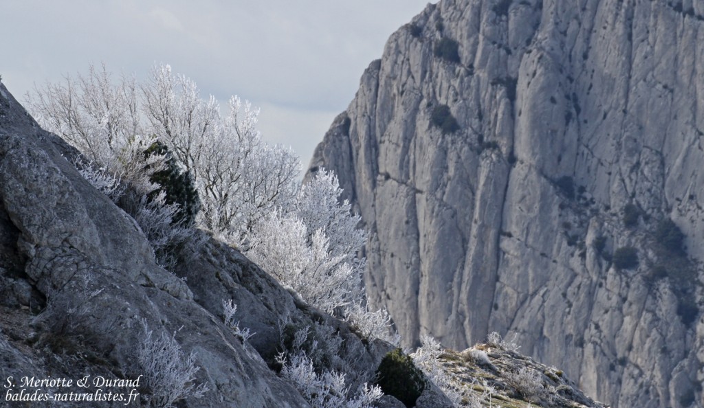 Montagne Sainte-Victoire