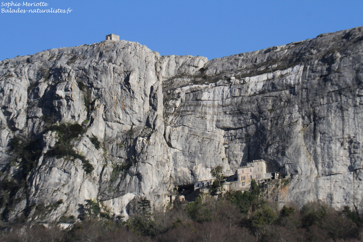 La SainteBaume Balades naturalistes