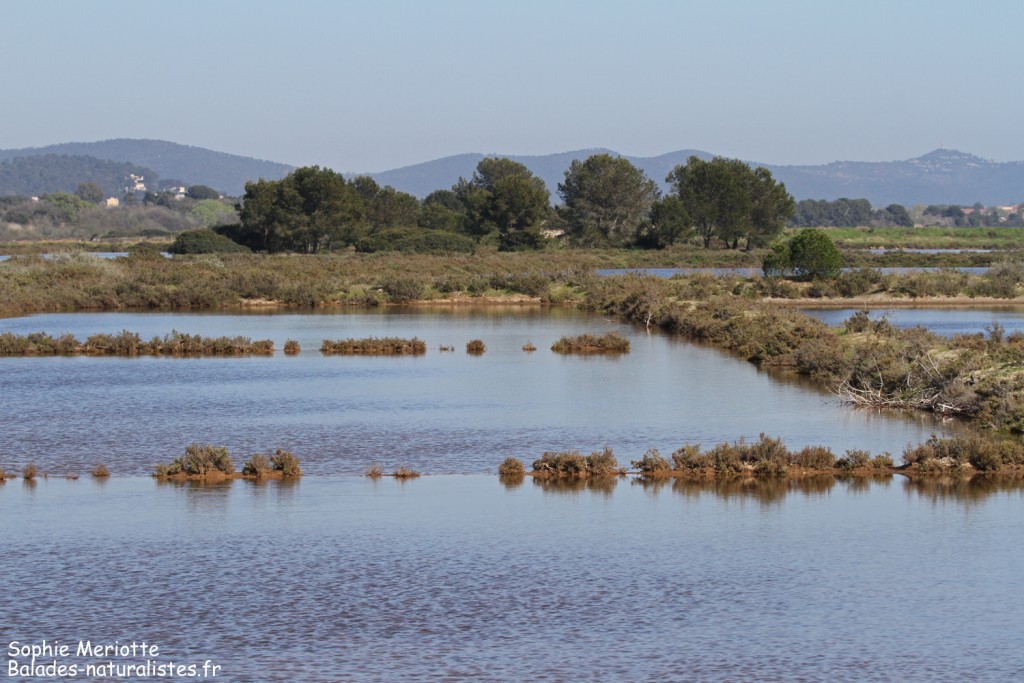Les Vieux Salins d'Hyères