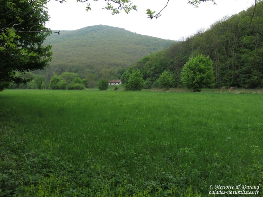 Bukk Nemzeti Park, Hongrie