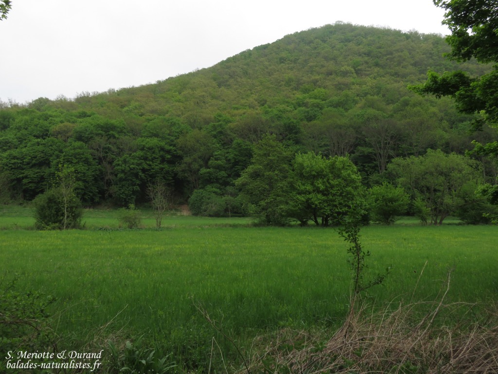 Bukk Nemzeti Park, Hongrie