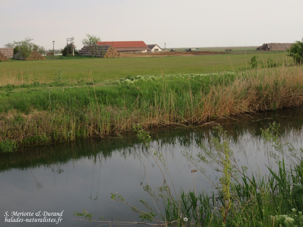 Hortobagyi Nemzeti Park