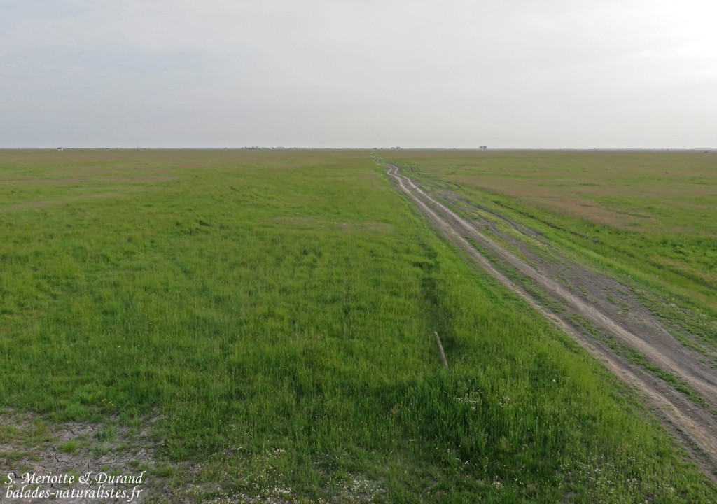 Hortobagyi Nemzeti Park