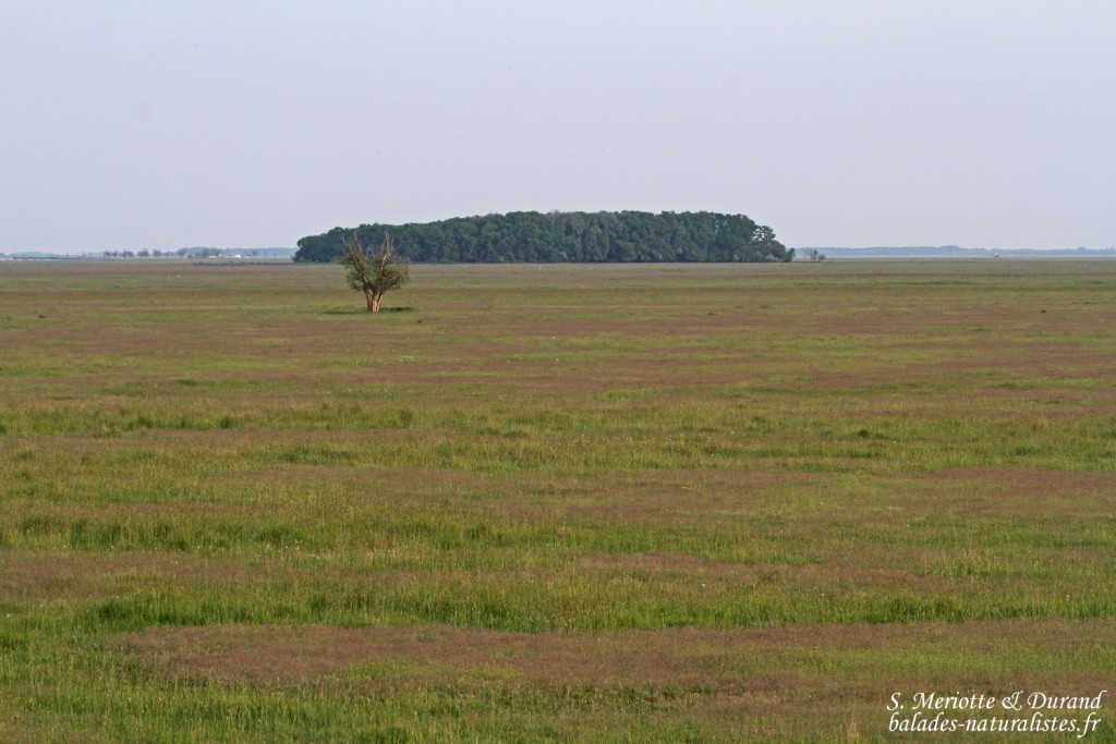 Hortobagyi Nemzeti Park
