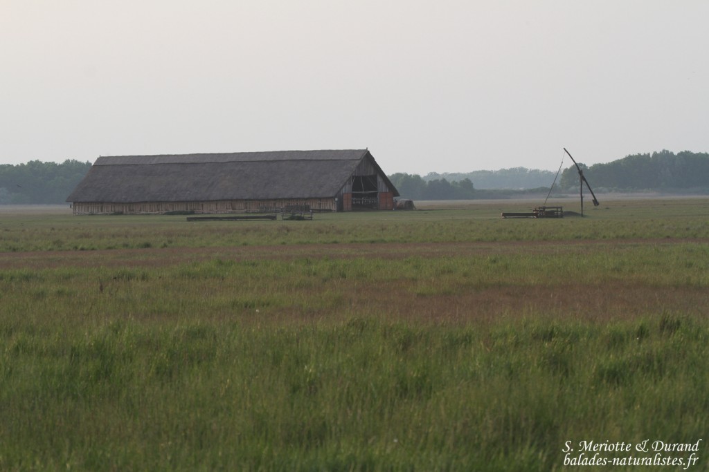Hortobagyi Nemzeti Park