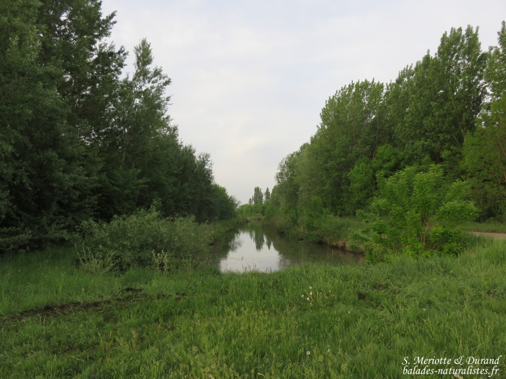 Hortobagyi Nemzeti Park - Arkus