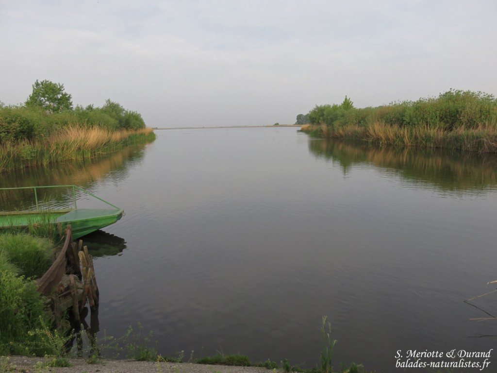 Hortobagyi Nemzeti Park - Arkus