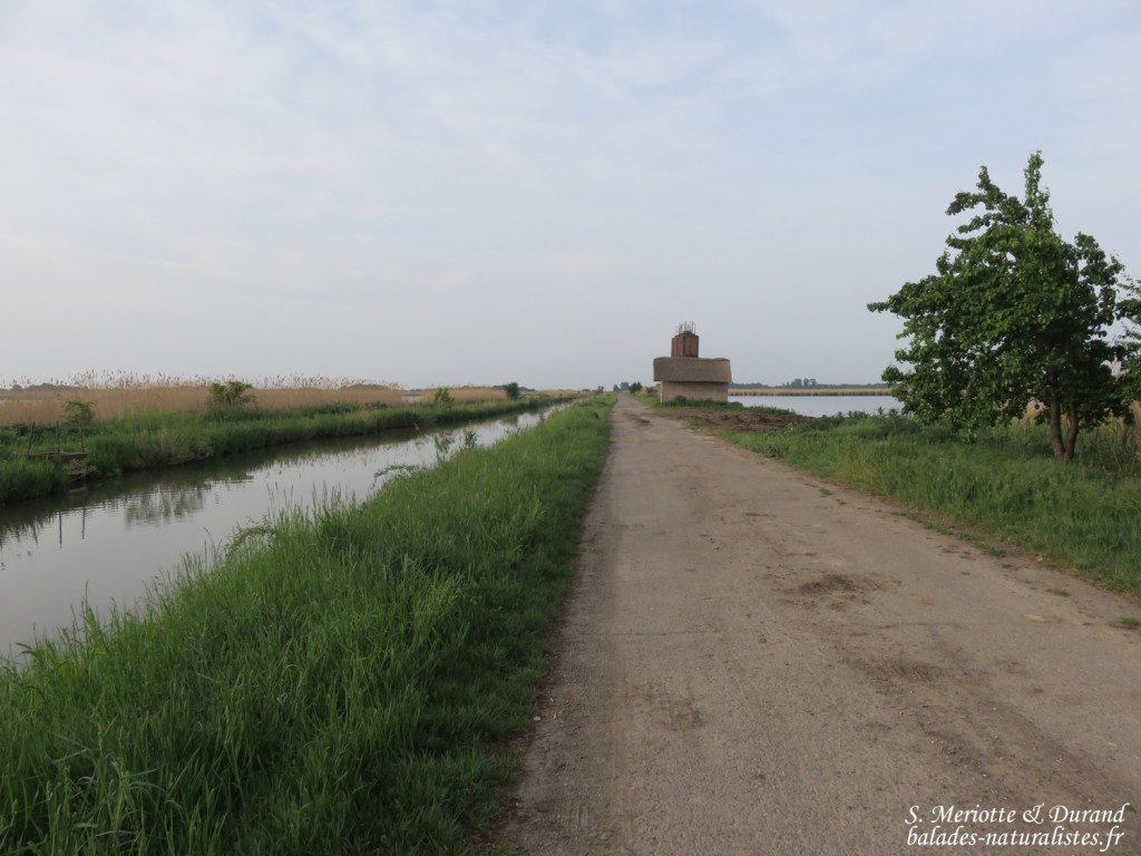 Hortobagyi Nemzeti Park - Arkus