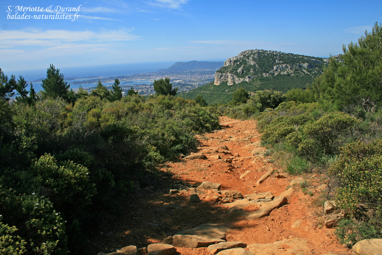 cite de rencontre toulon
