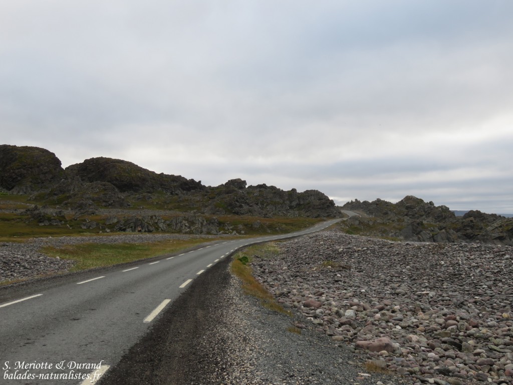 Route d'Hamningberg