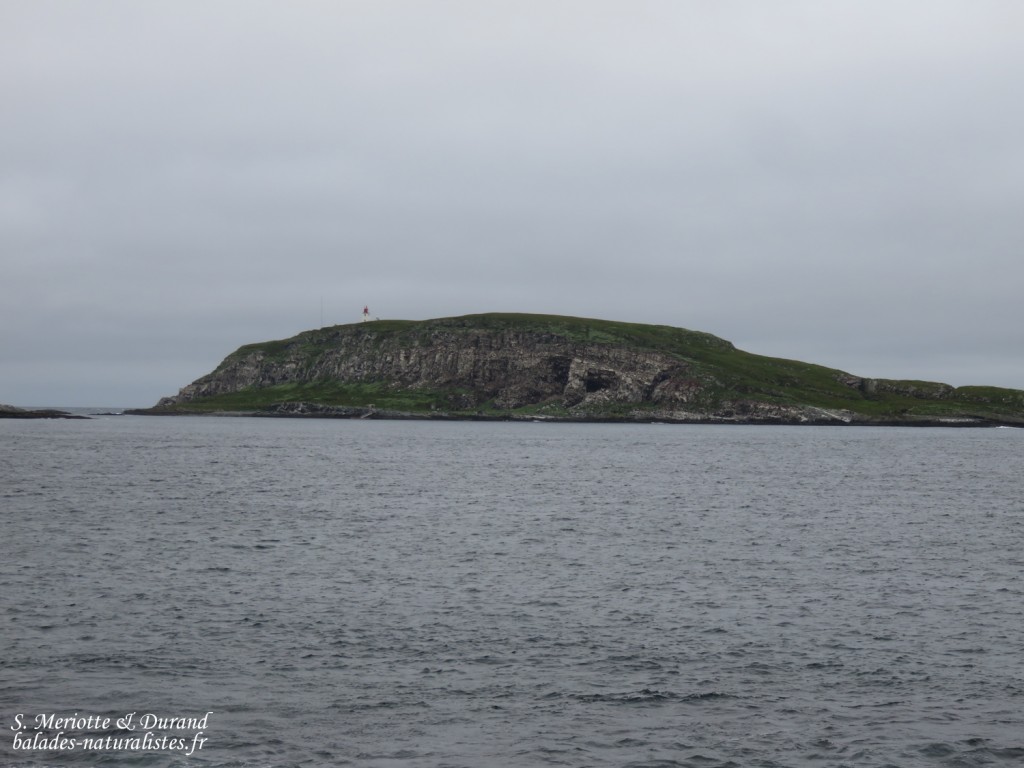L'île d'Hornoya