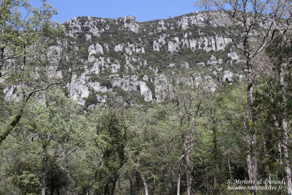 morieres (7) aiguilles-valbelles