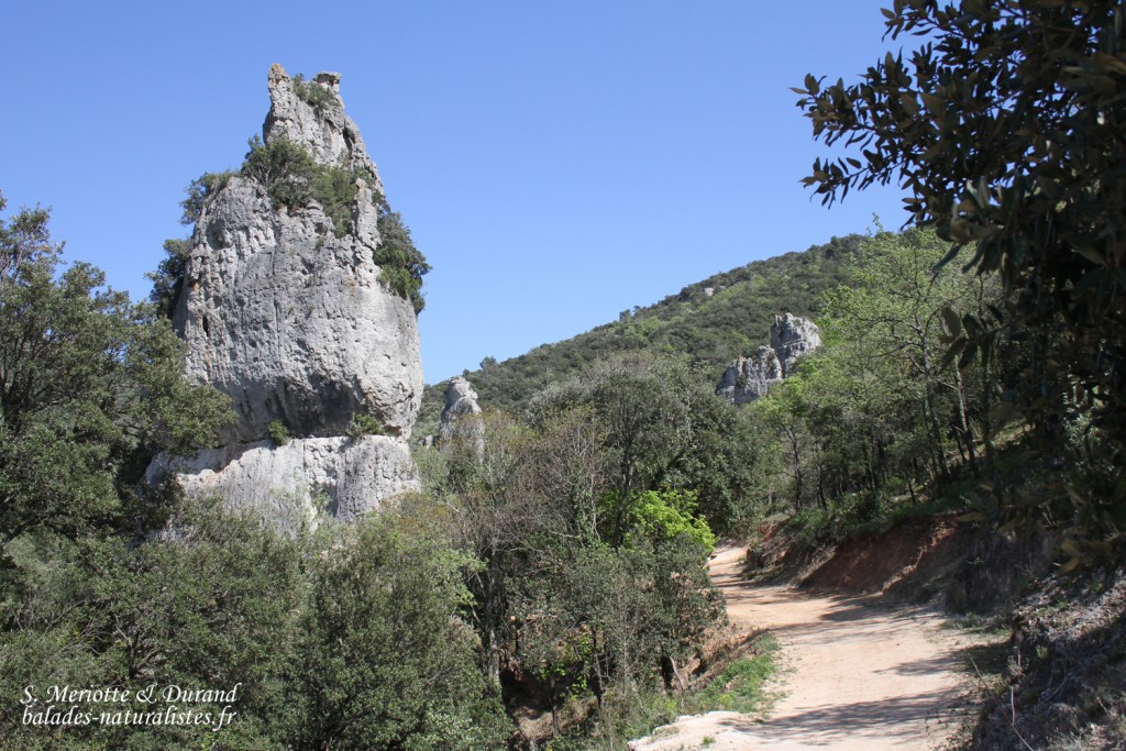 morieres (8) aiguilles-valbelles