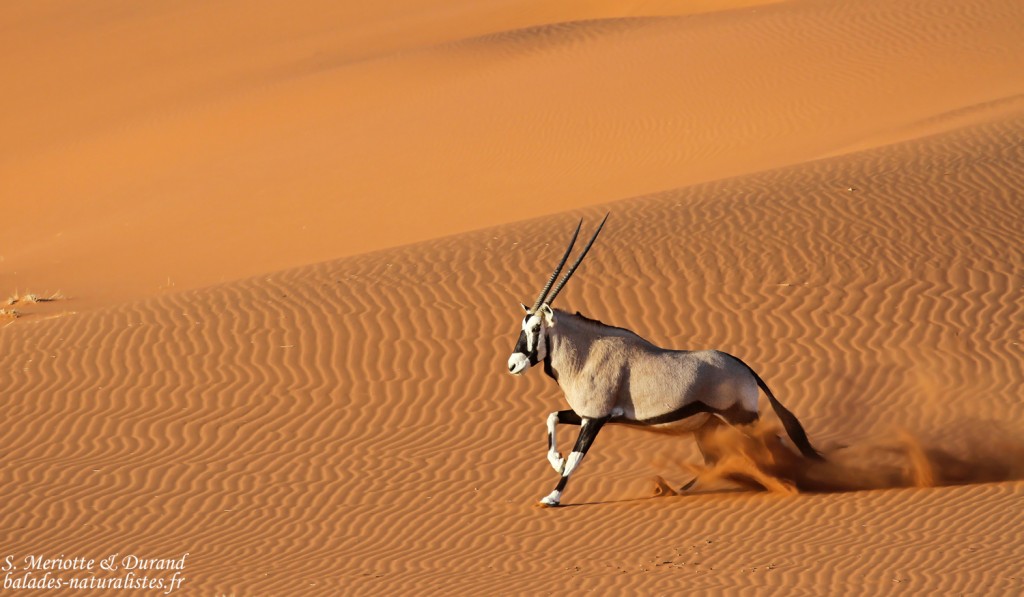 Namibie Namibie