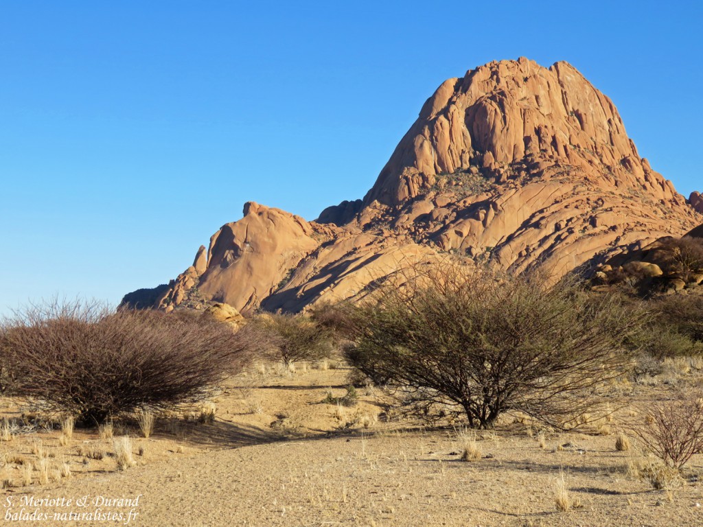 Spitzkoppe