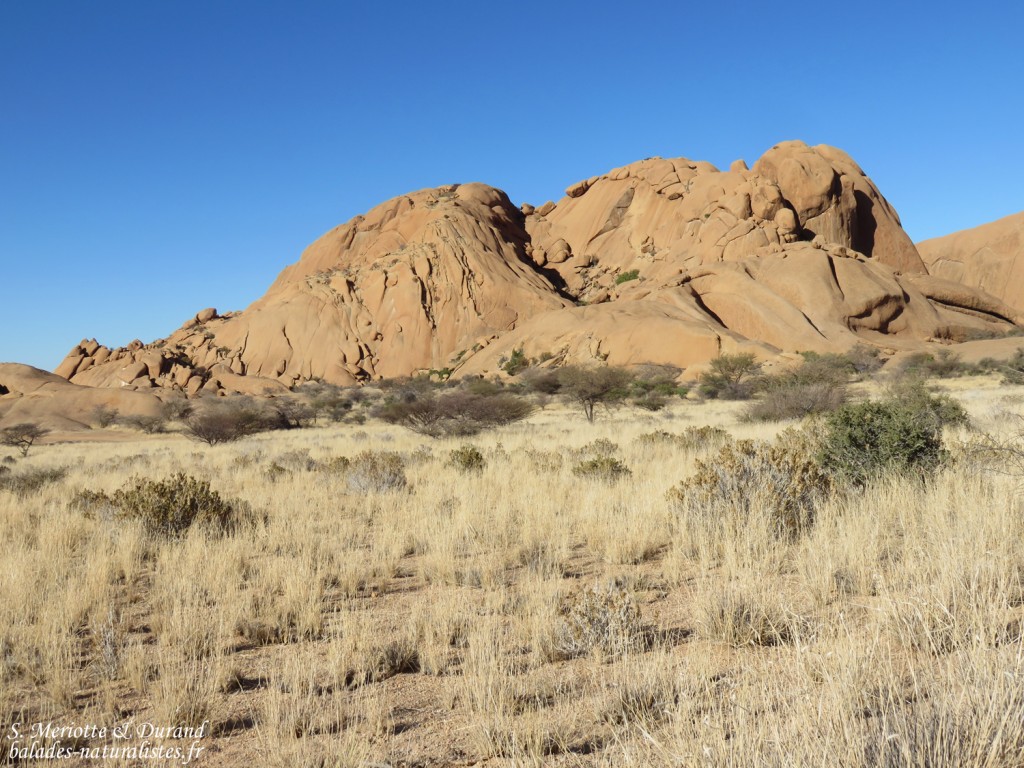 Spitzkoppe
