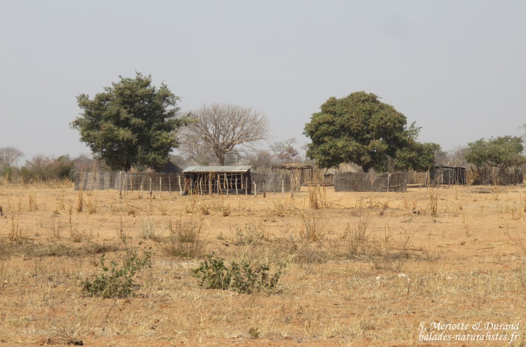 Bande de Caprivi