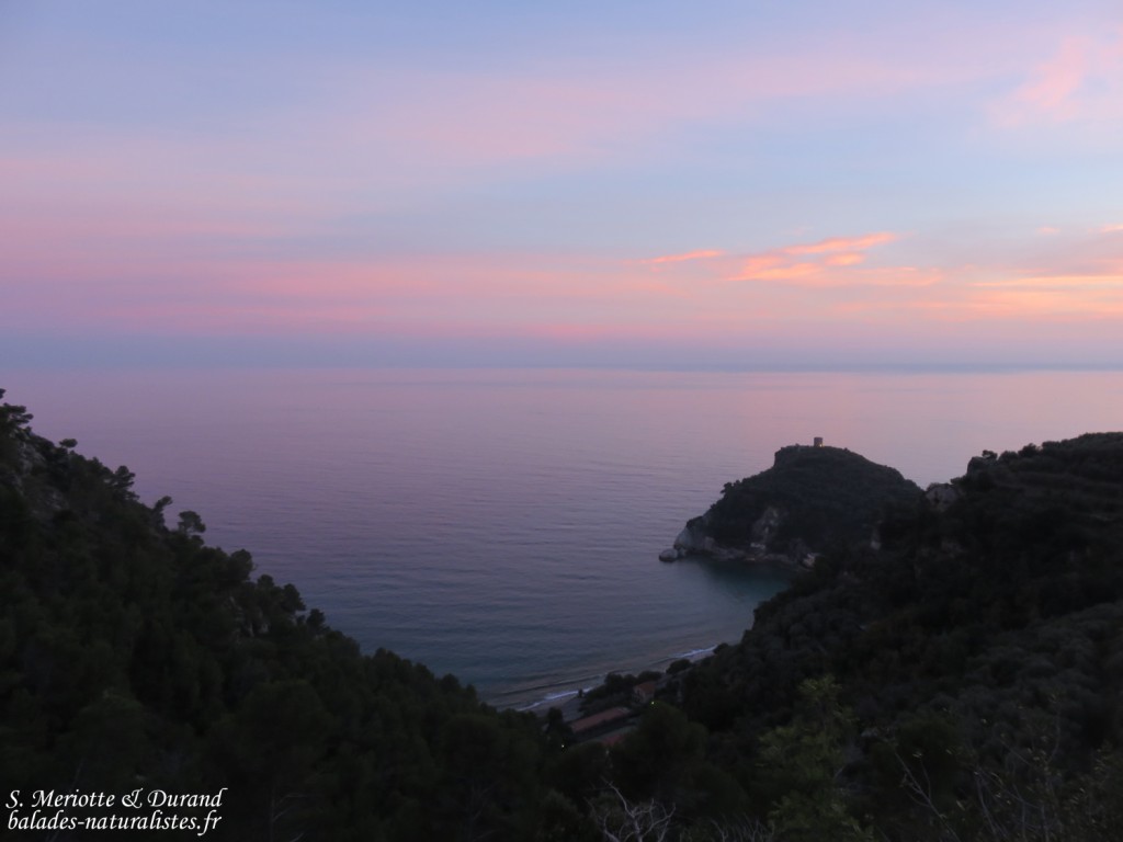 Varigotti