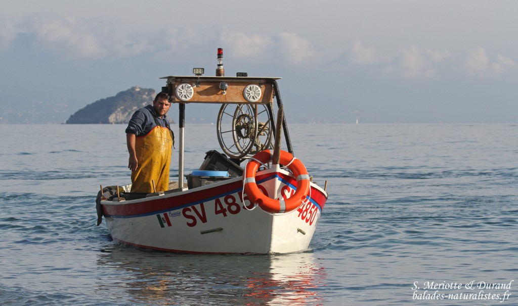 Pêcheur de Noli