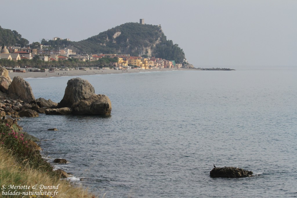 Côte ligure