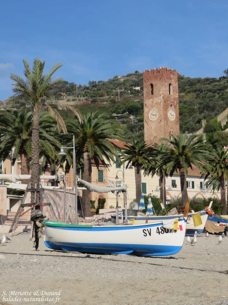 Plage de Noli
