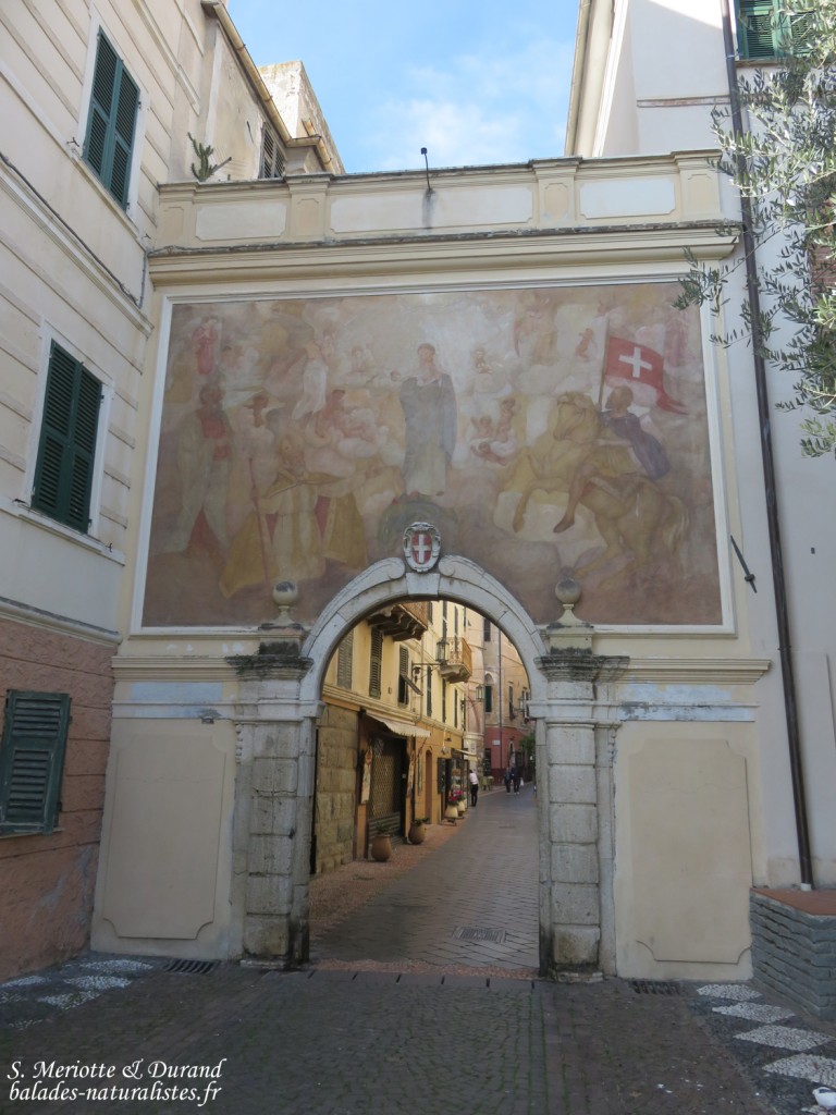 Noli