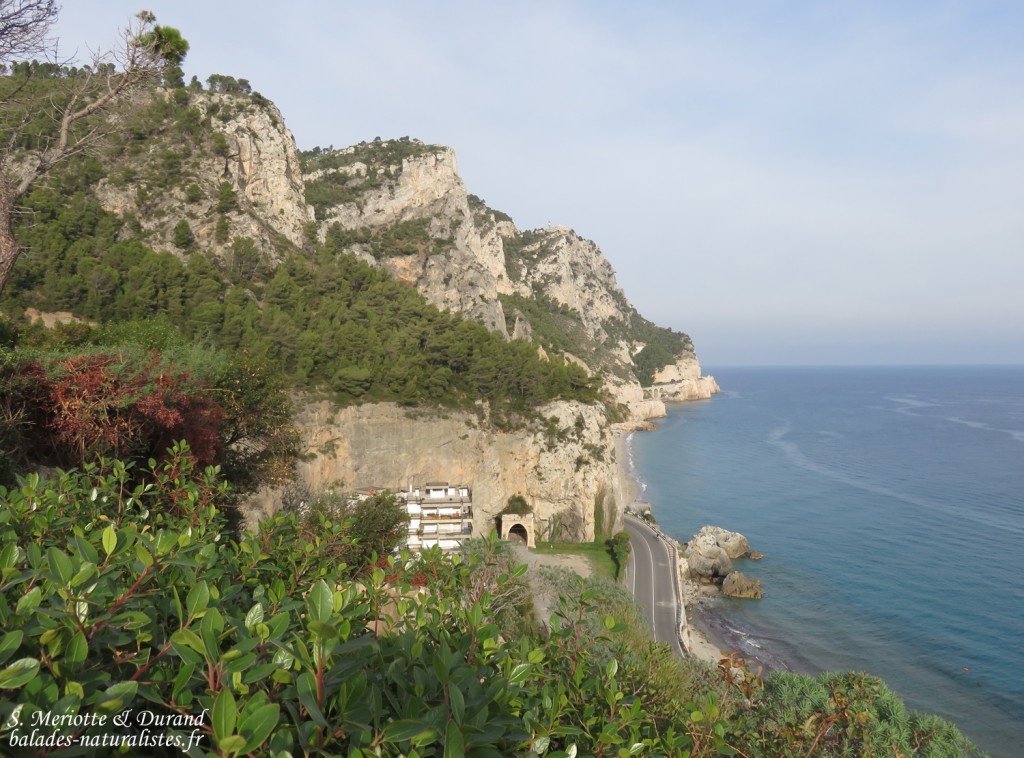 Sentier du Pèlerin
