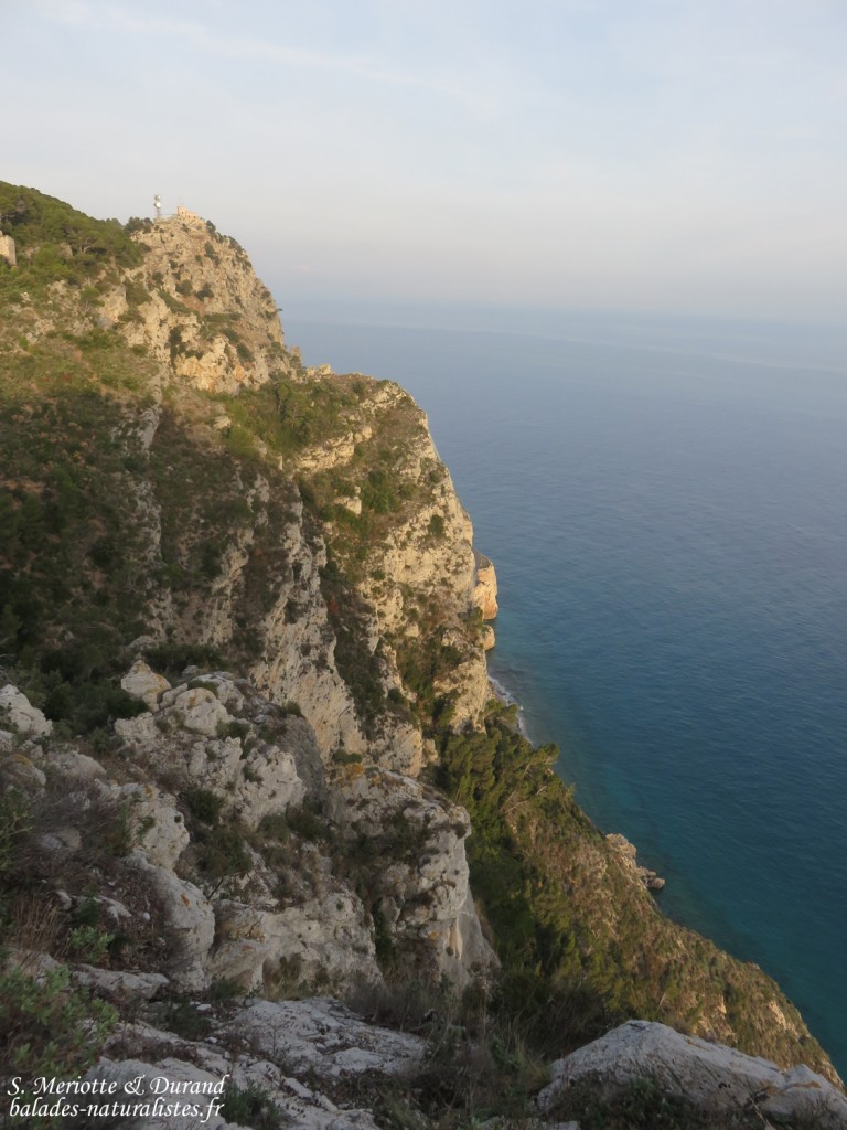 Sentier du Pèlerin