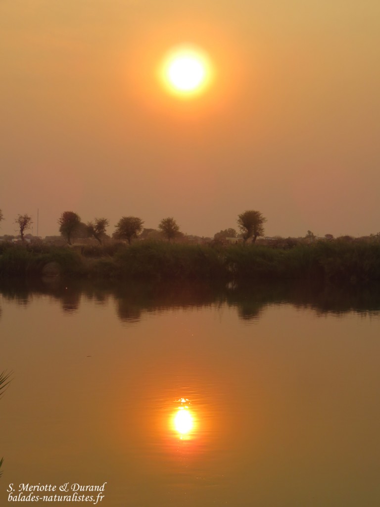 Rundu