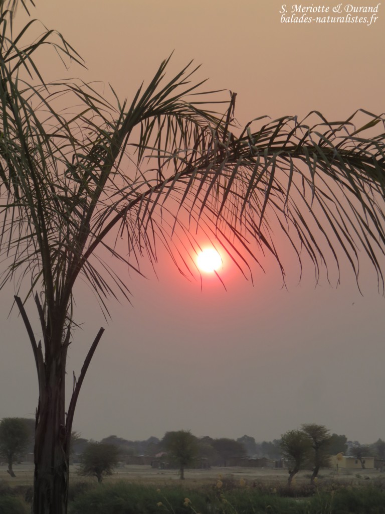 Rundu