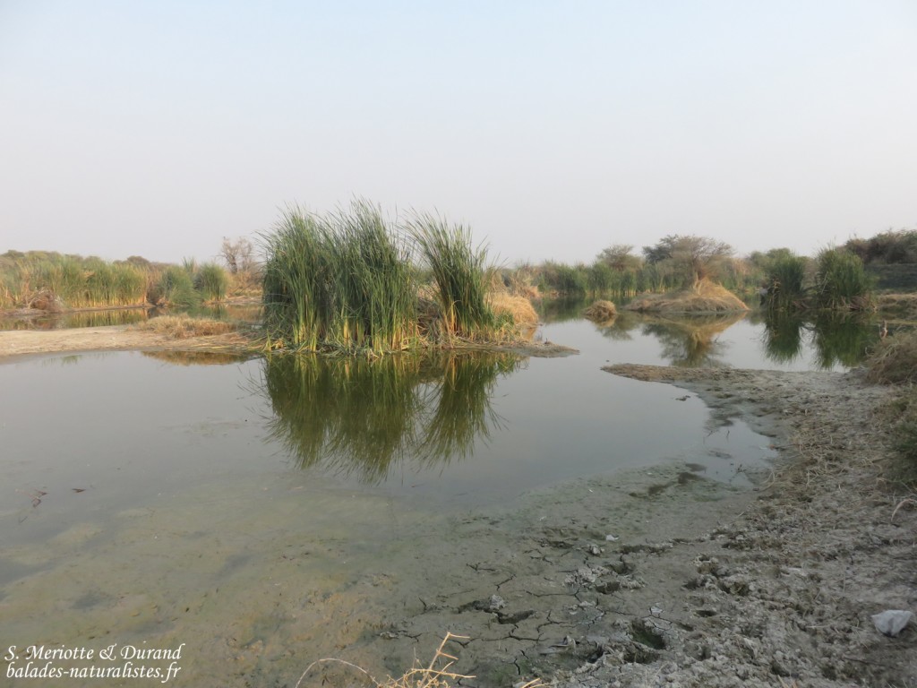 Rundu