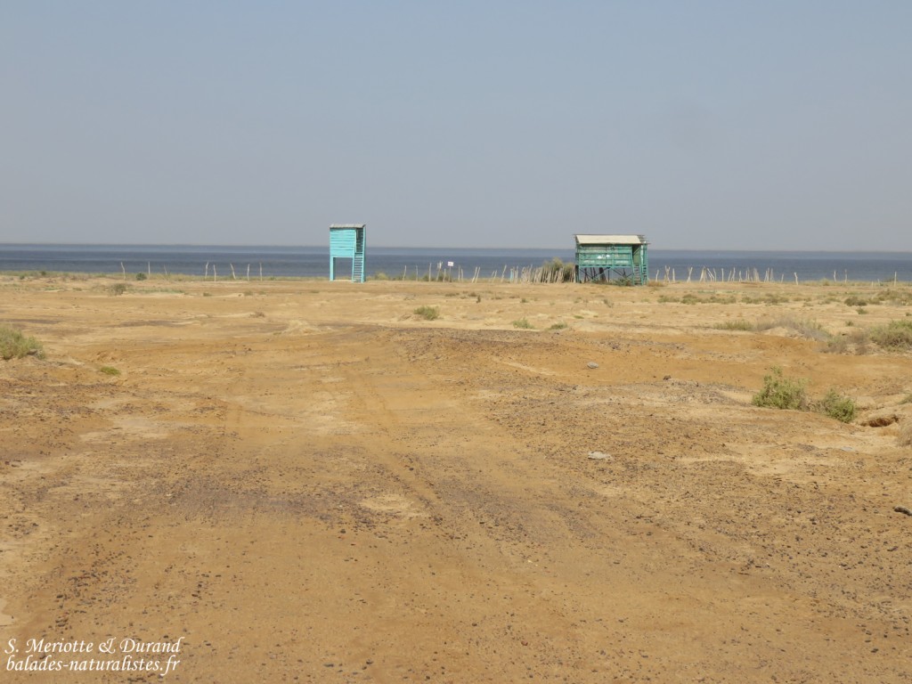 Observatoires près du grand lac, Djoudj