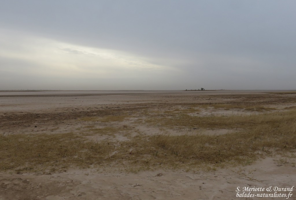 Les bords du Saloum à Kaolack, Sénégal