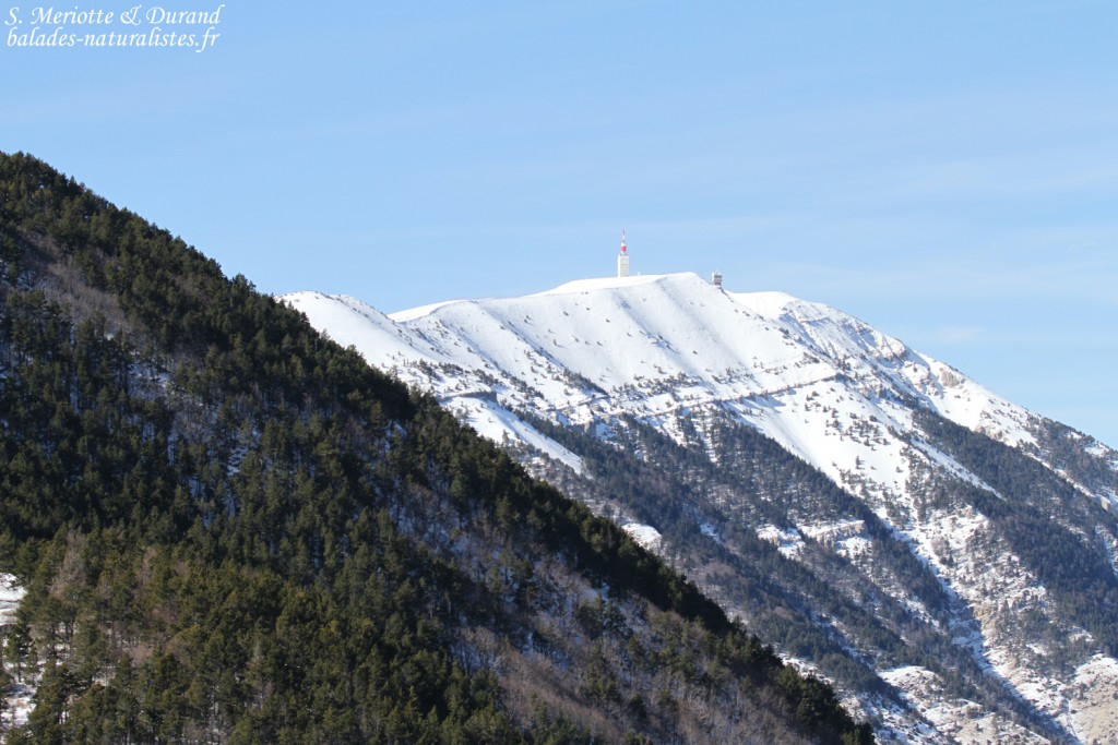 Mont Ventoux