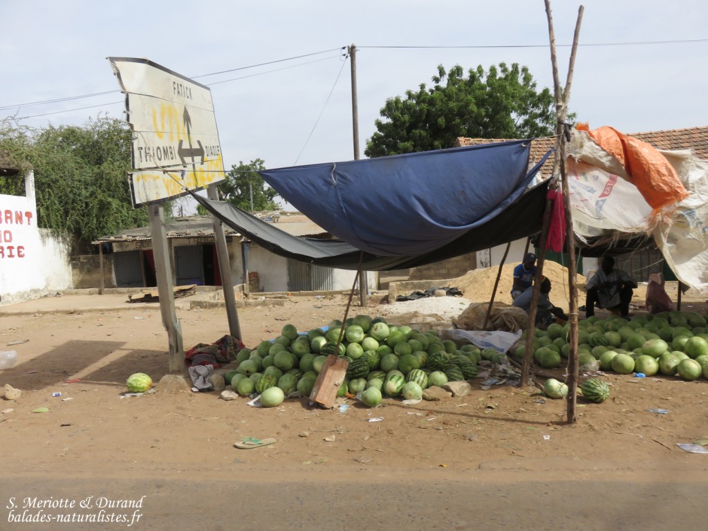 Marchands sur la route pour Ndangane