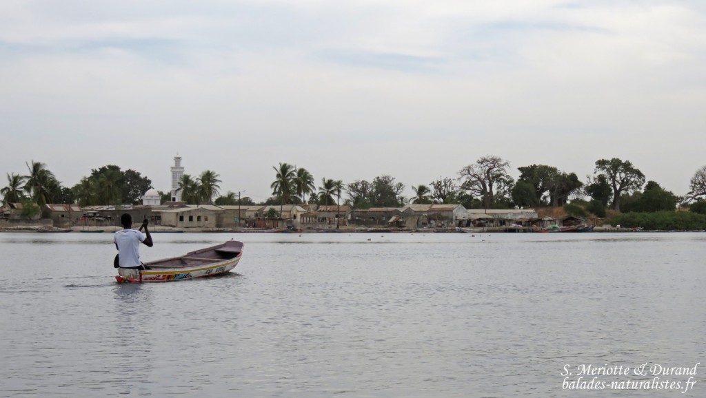 Village au bord du Sine Saloum