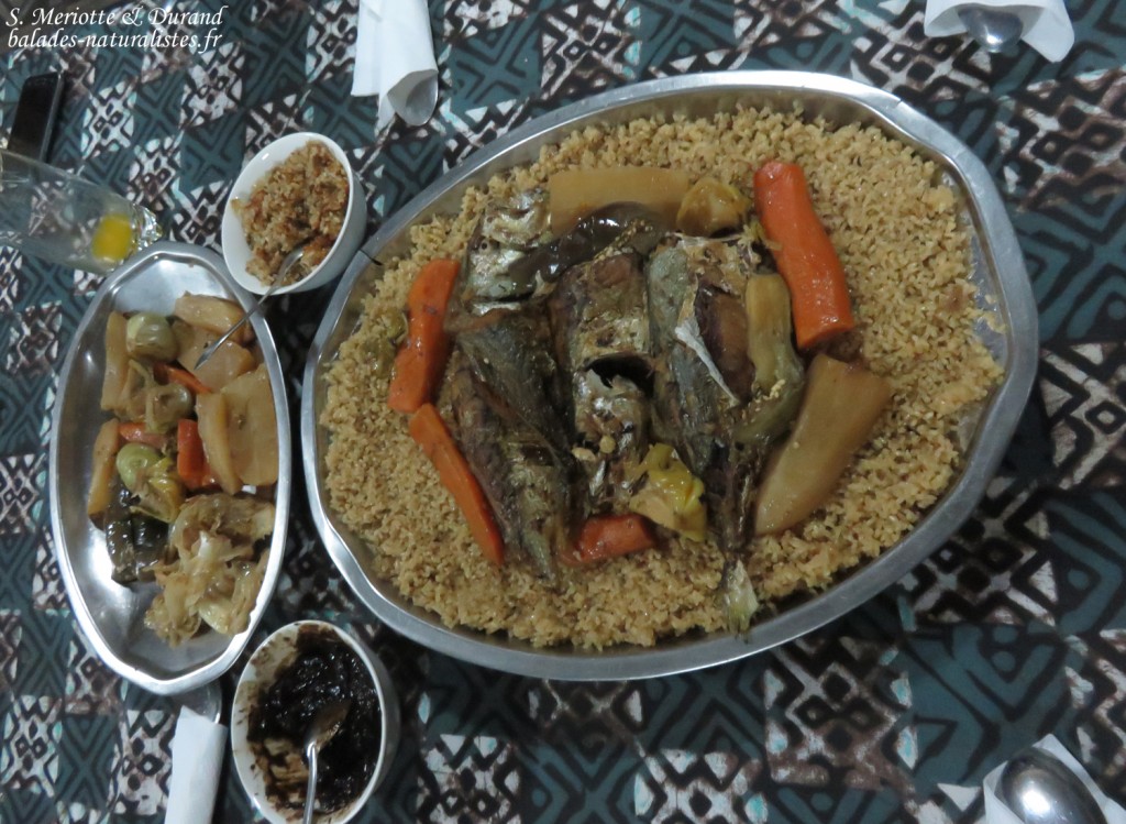 Thieboudienne, le plat national du Sénégal