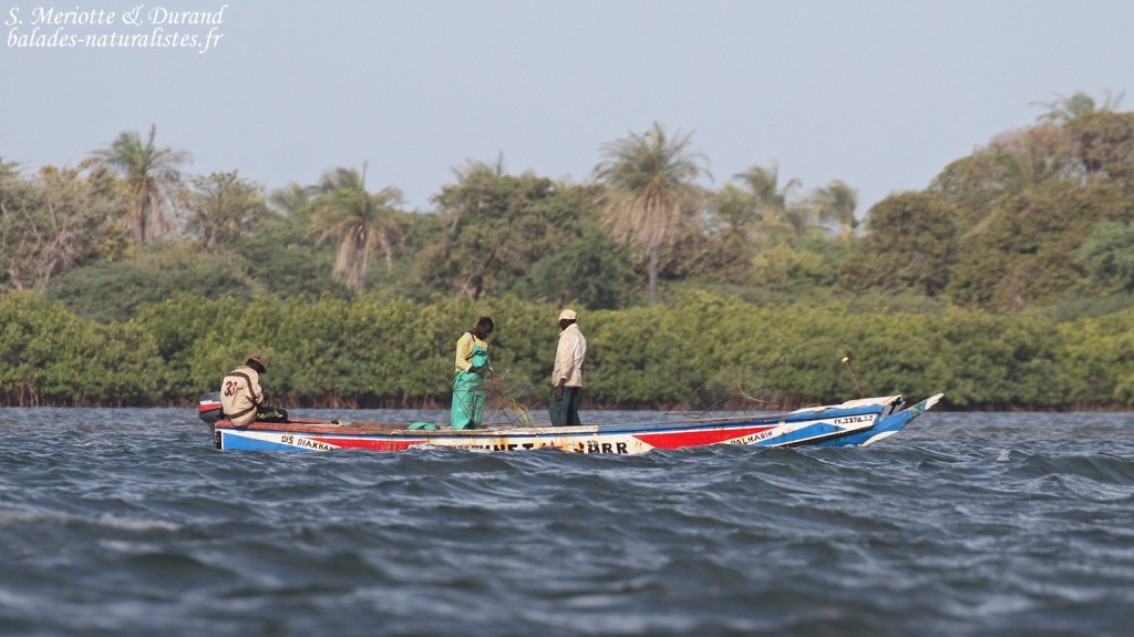 Pêcheurs dans le delta du Sine Saloum