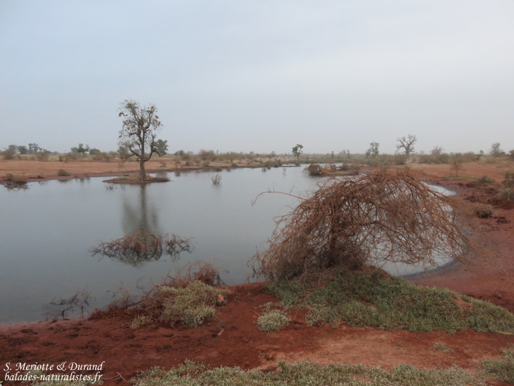Sud du Sine Saloum, Sénégal