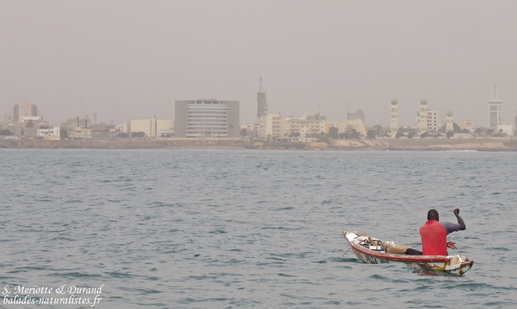 Pêcheur à Dakar